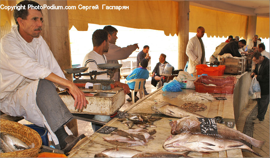 Human, People, Person, Carpenter, Bakery, Shop, Bazaar