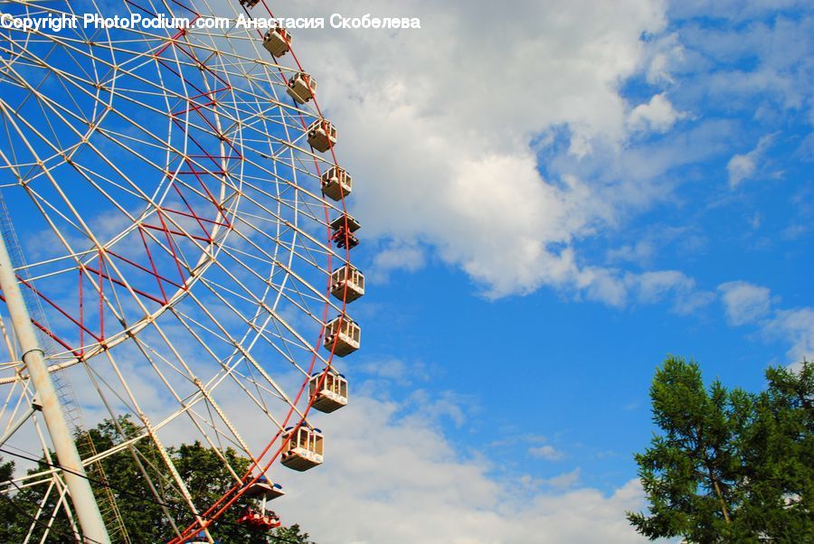 Ferris Wheel, Forest, Vegetation, Architecture