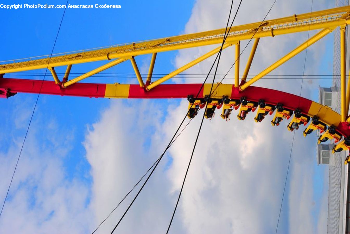 Constriction Crane, Canopy