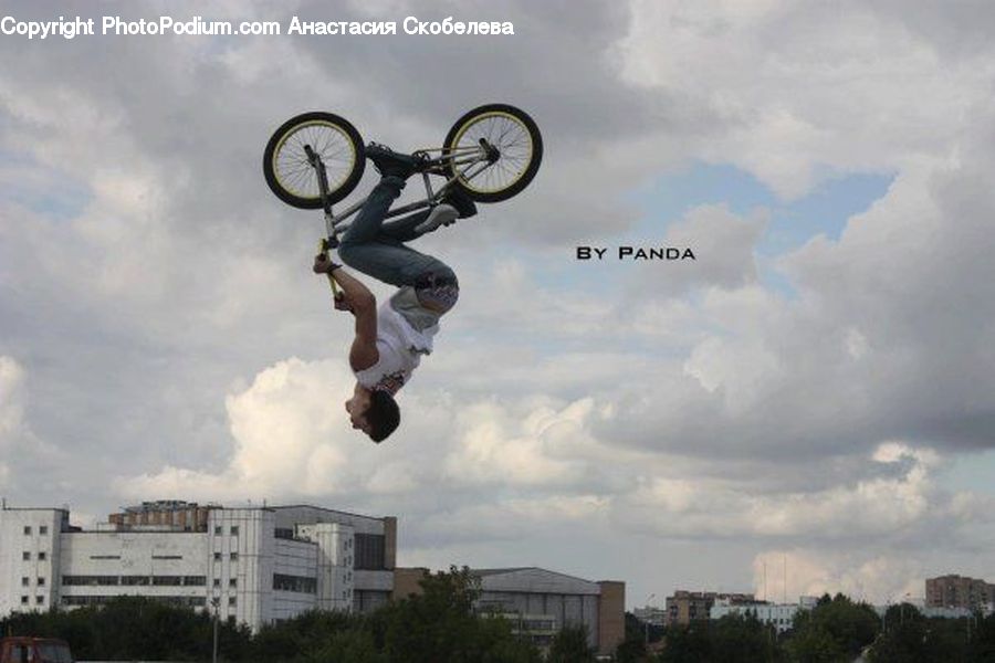 Bicycle, Bike, Vehicle, Building, Office Building, Bmx, Apartment Building