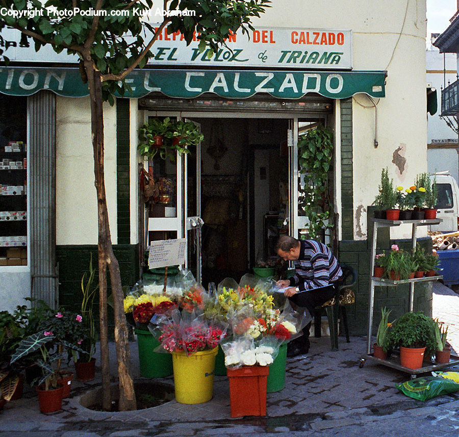 People, Person, Human, Plant, Potted Plant, Deck, Housing