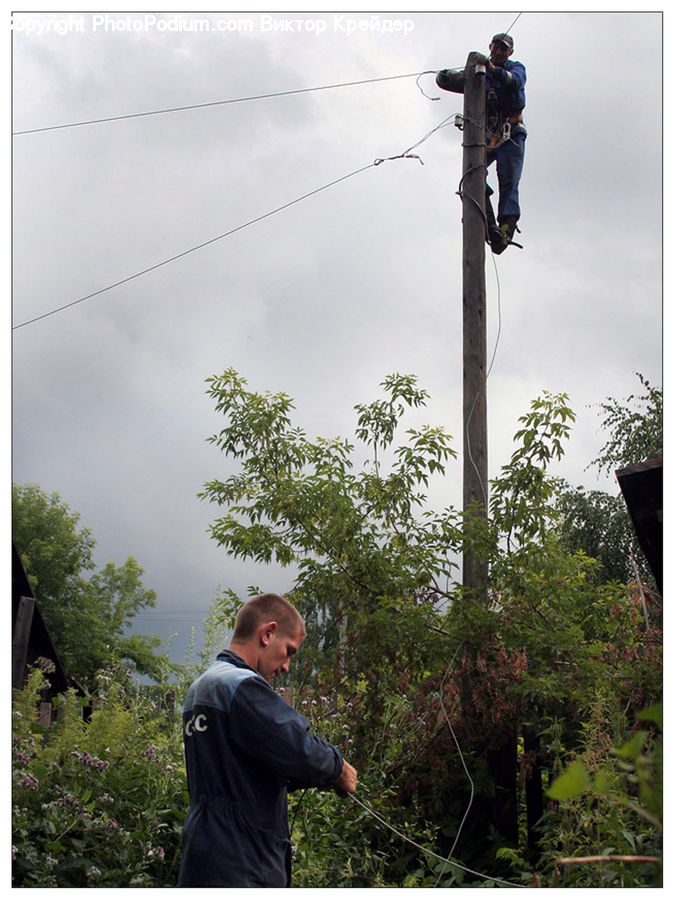 Human, People, Person, Pole, Plant, Conifer, Tree