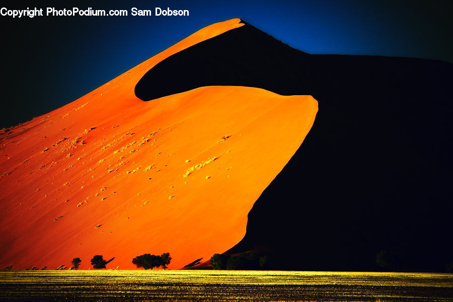 Desert, Outdoors, Dune, Leisure Activities, Blossom, Flora, Flower