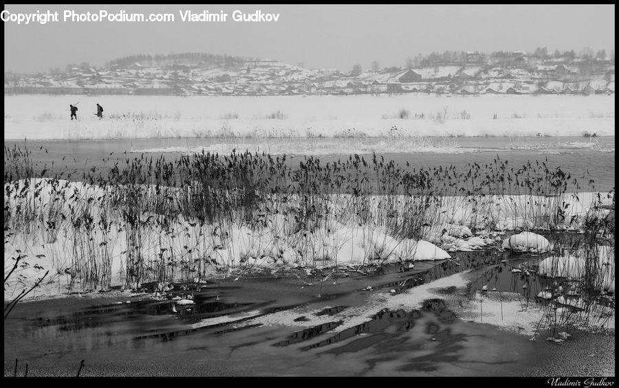 Land, Marsh, Outdoors, Swamp, Water, Alps, Crest
