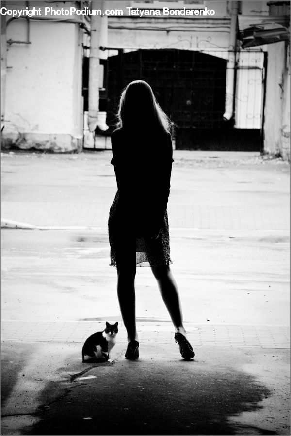 People, Person, Human, Animal, Cat, Mammal, Pet