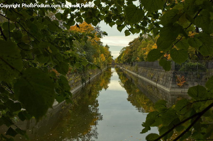 Plant, Potted Plant, Canal, Outdoors, River, Water, Pond