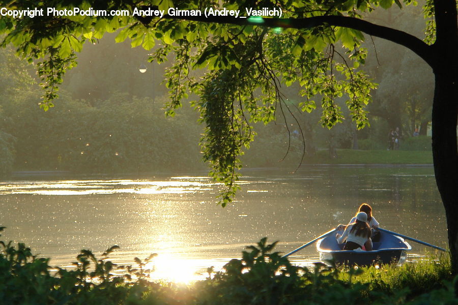 People, Person, Human, Boat, Watercraft, Plant, Potted Plant