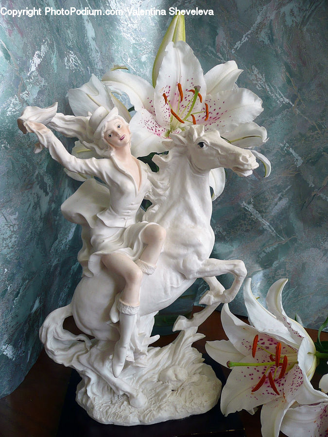 People, Person, Human, Flora, Flower, Lily, Plant