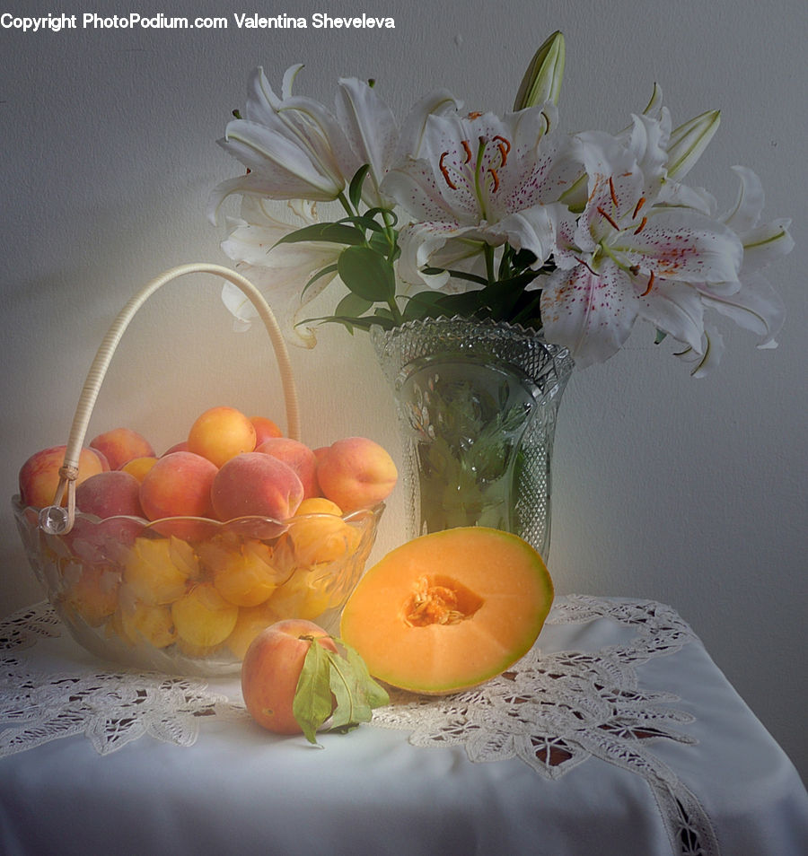 Plant, Potted Plant, Floral Design, Flower, Flower Arrangement, Flower Bouquet, Ikebana