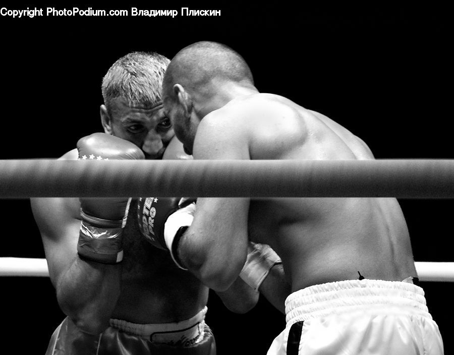 Boxing, Fitness, Sport, People, Person, Human, Portrait