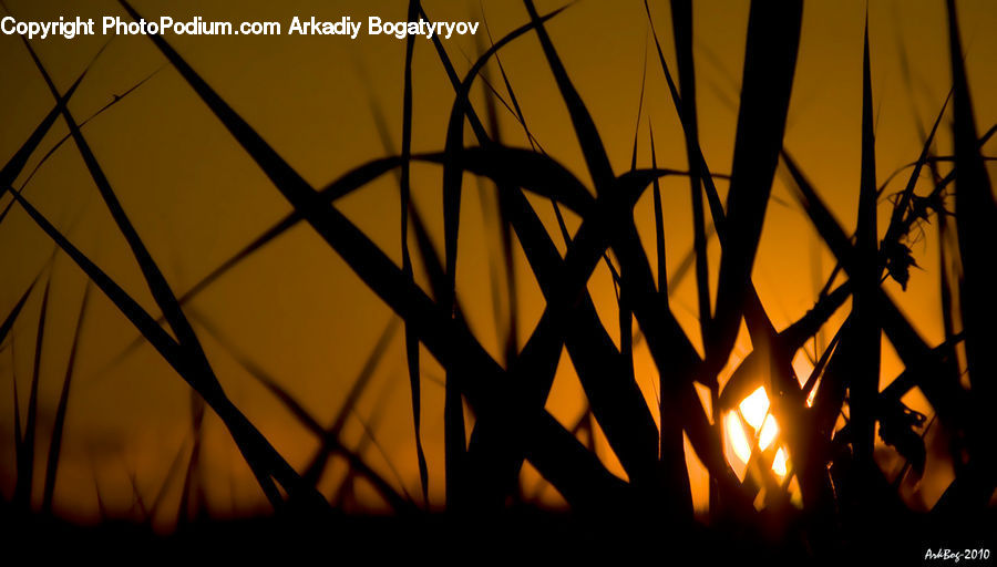 Dusk, Outdoors, Sky, Sunlight, Sunrise, Sunset, Silhouette