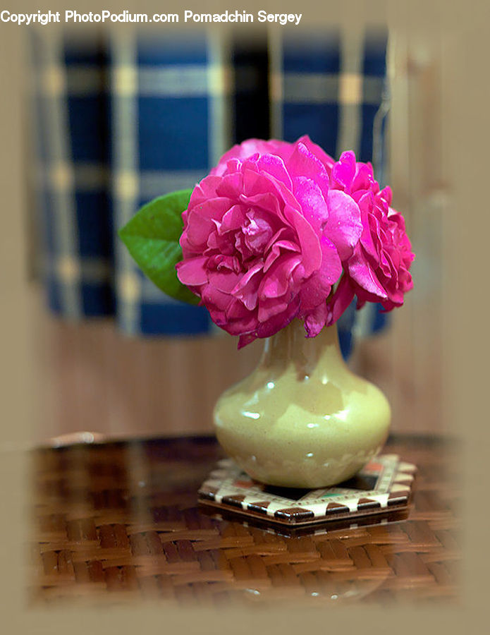 Floral Design, Flower, Flower Arrangement, Flower Bouquet, Ikebana, Blossom, Carnation