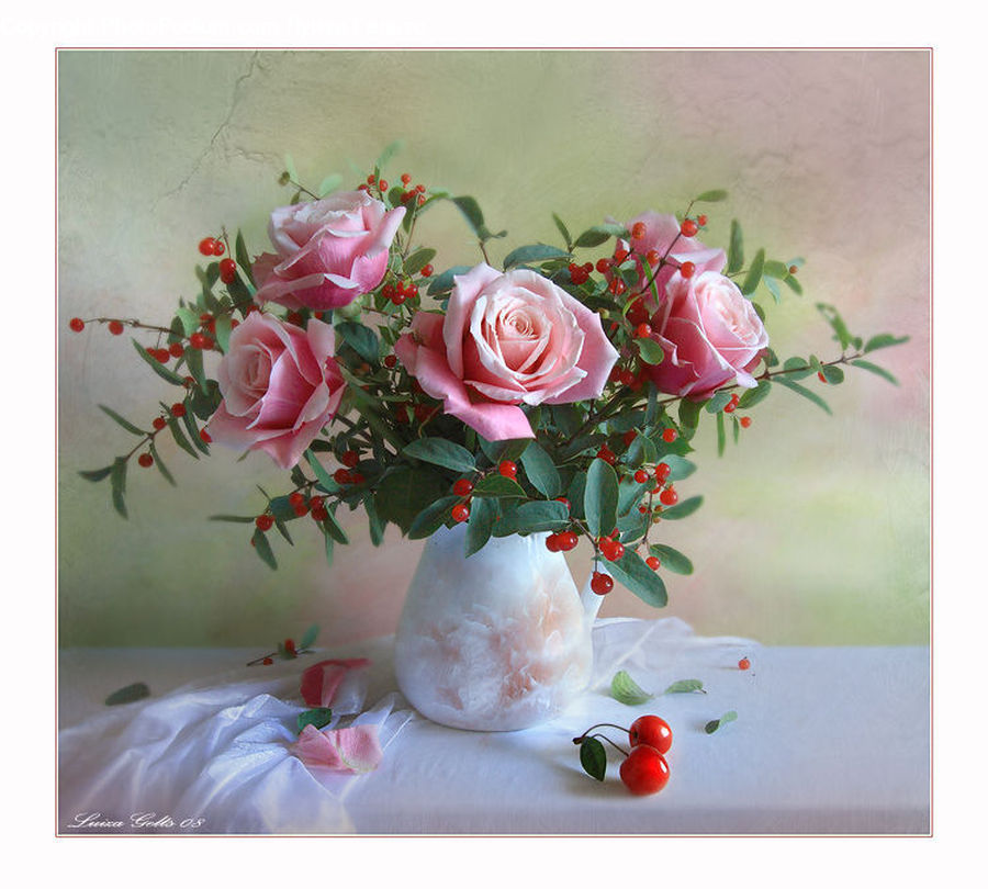 Blossom, Flower, Plant, Rose, Peony, Flower Arrangement, Flower Bouquet