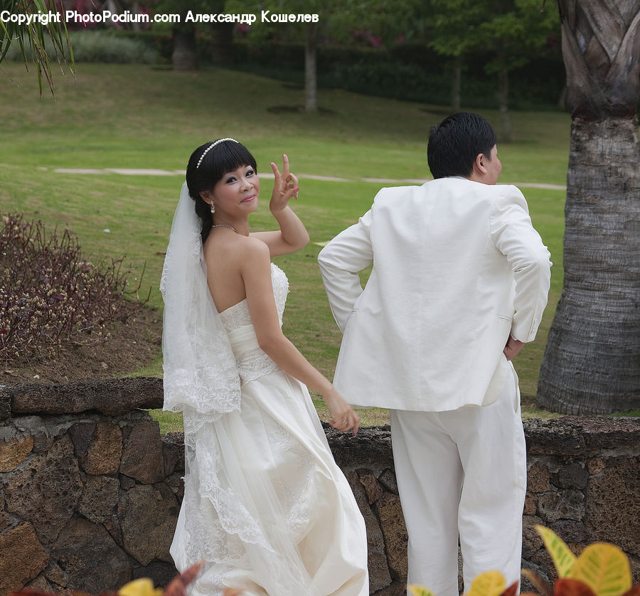 Human, People, Person, Back, Gown, Robe, Wedding Gown