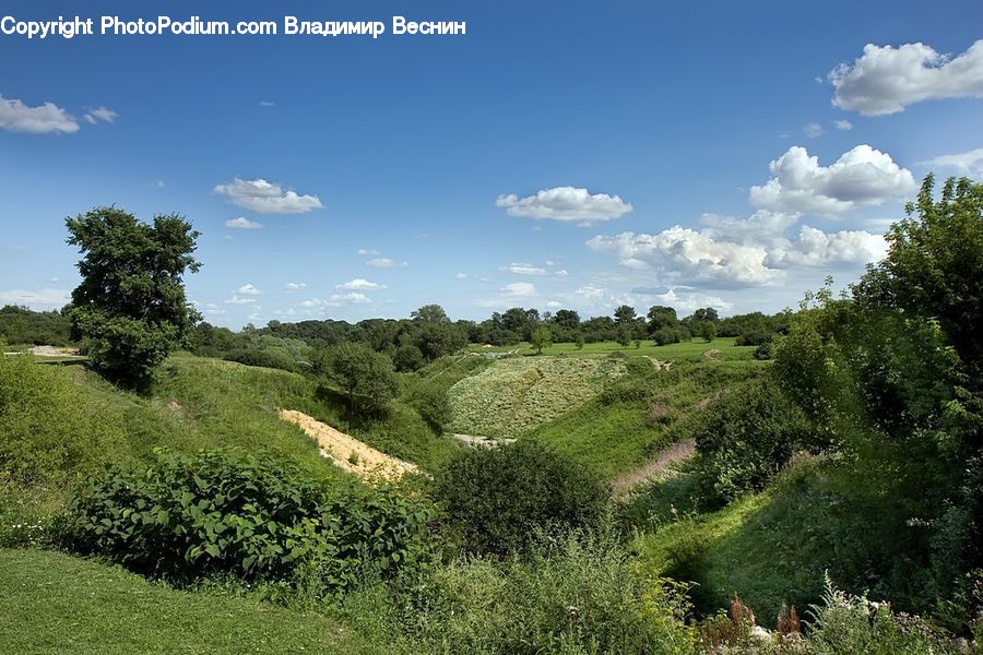 Countryside, Hill, Outdoors, Field, Grass, Grassland, Land