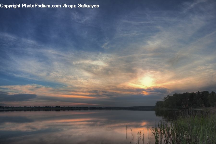 Land, Marsh, Outdoors, Swamp, Water, Lake, Dawn