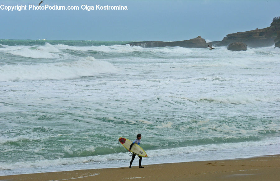 Sport, Surfboard, Surfing, Beach, Coast, Outdoors, Sea