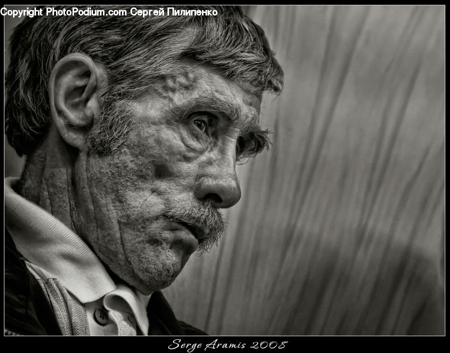 Person, Portrait, Face, Head, Performer