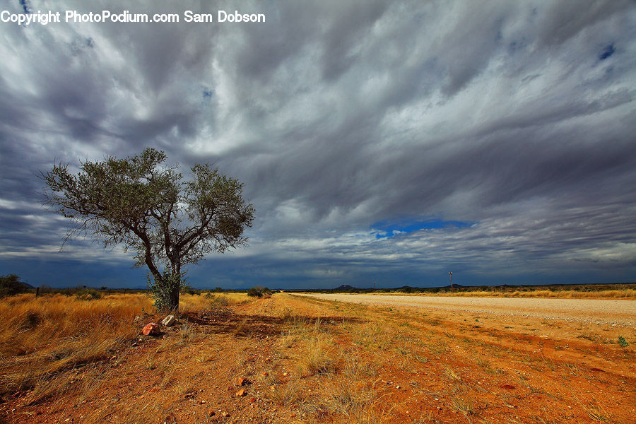 Field, Grass, Grassland, Land, Outdoors, Dirt Road, Gravel