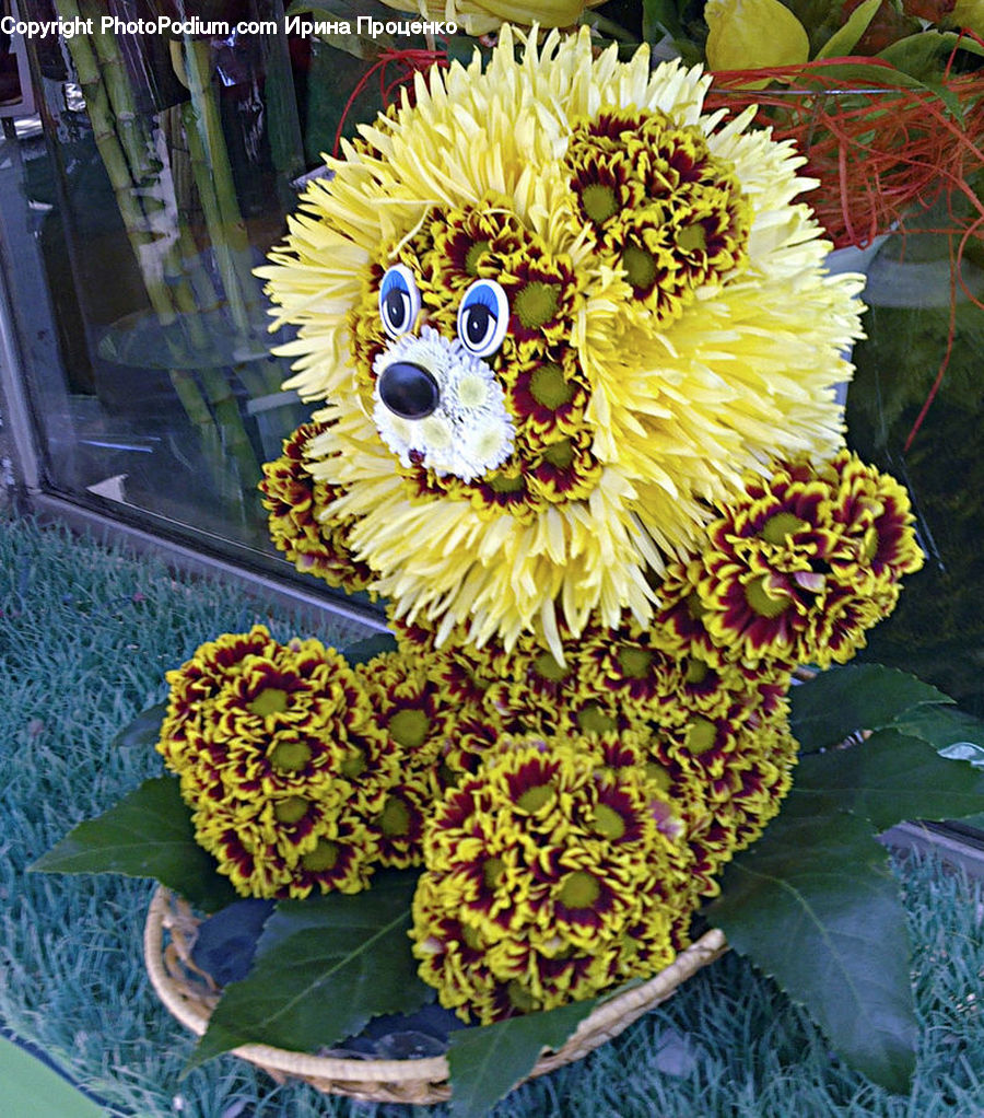 Plant, Flower, Flower Arrangement, Flower Bouquet, Floral Design, Ikebana, Blossom