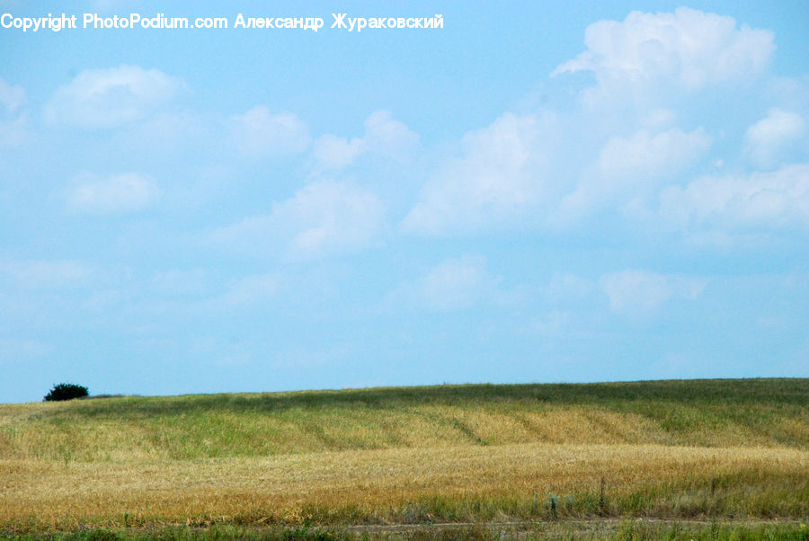 Field, Grass, Grassland, Land, Outdoors, Landscape, Nature