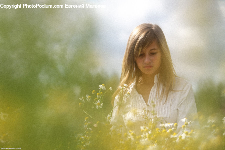 People, Person, Human, Blonde, Female, Woman, Flare