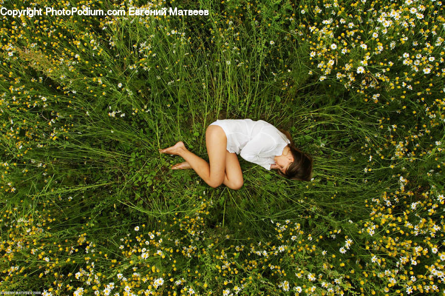 Field, Grass, Grassland, Plant, Leisure Activities, Outdoors, Female