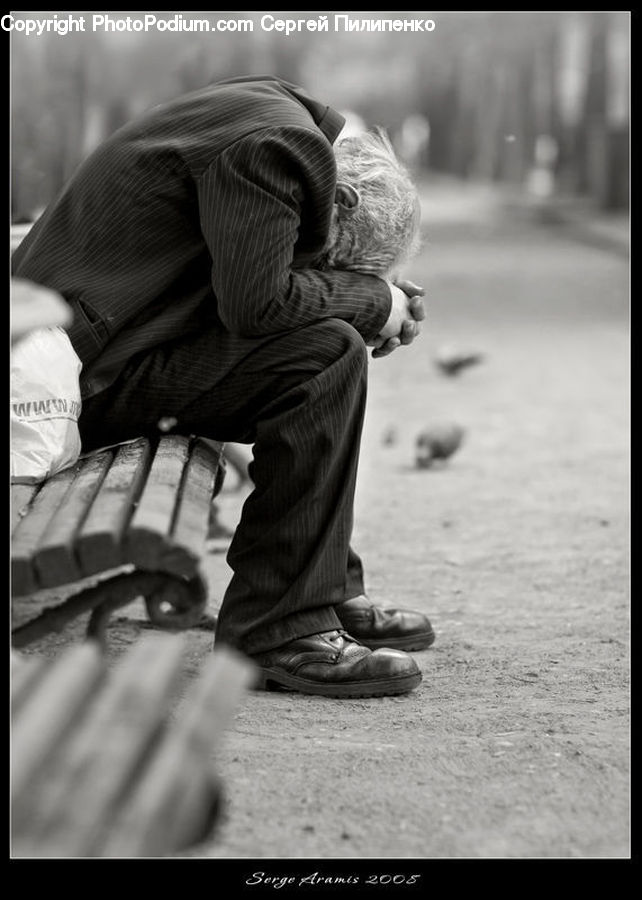 Human, People, Person