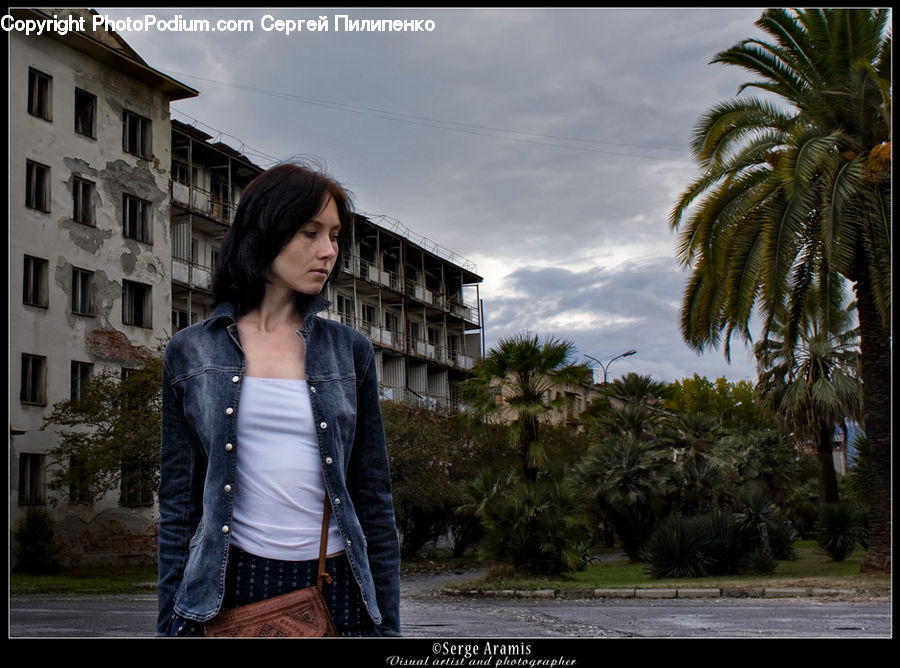 People, Person, Human, Palm Tree, Plant, Tree, Fern