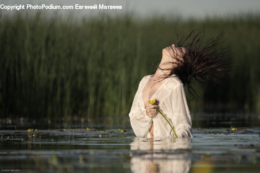 Leisure Activities, Dock, Landing, Pier, Field, Grass, Grassland