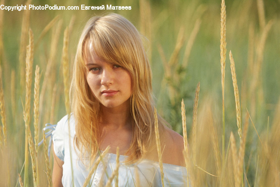 Human, People, Person, Plant, Tree, Willow, Blonde