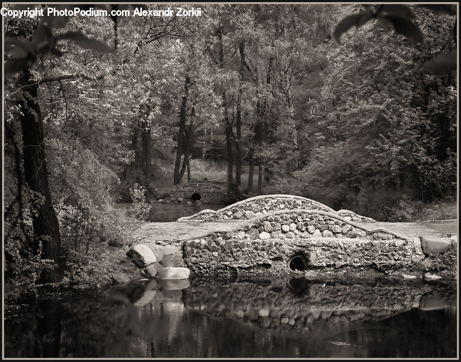 People, Person, Human, Outdoors, Pond, Water, Forest