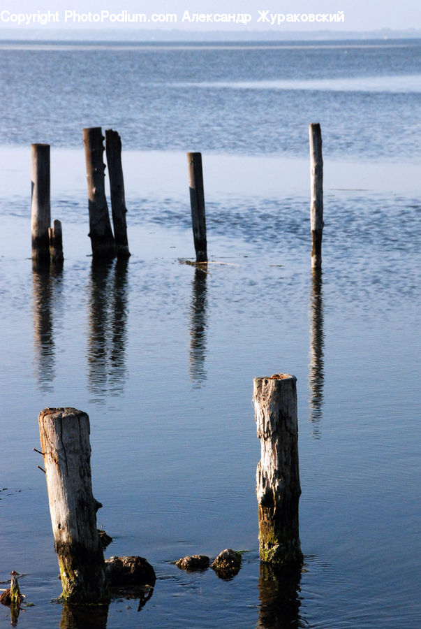 Tree Stump, Coast, Outdoors, Sea, Water, Beach, Dock