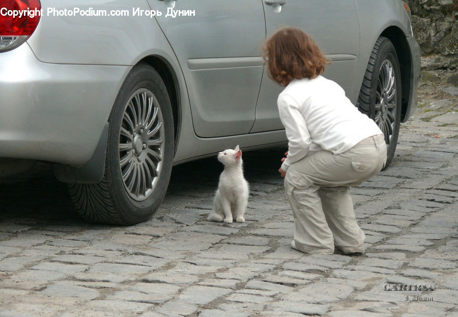 Human, People, Person, Automobile, Car, Vehicle, Alloy Wheel