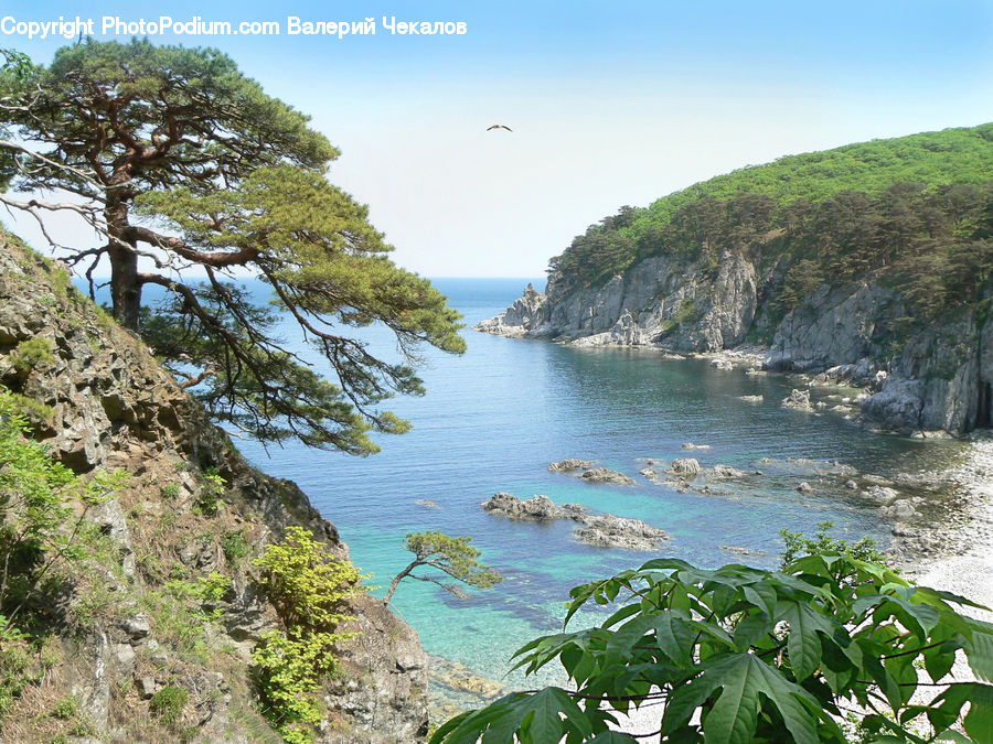 Outdoors, Pond, Water, Cliff, Nature, Promontory, Plant