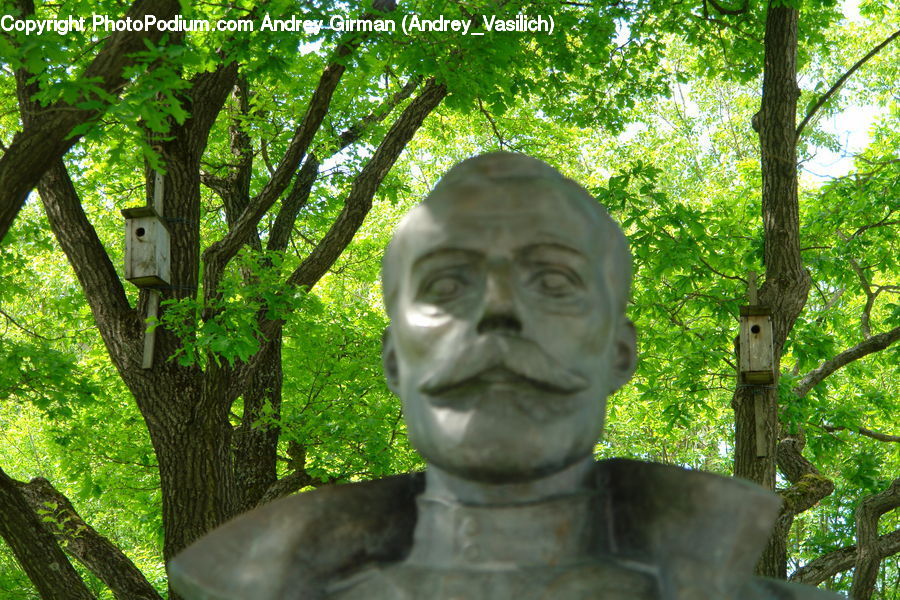 People, Person, Human, Plant, Tree, Bust, Figurine