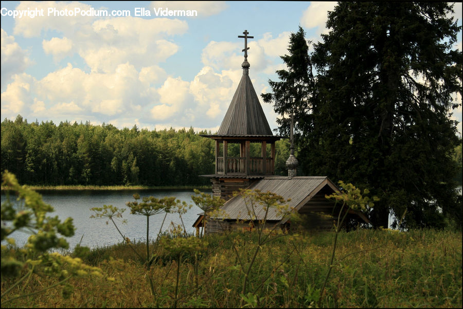 Cabin, Hut, Rural, Shack, Shelter, Gazebo, Building