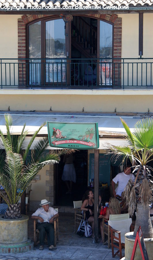 People, Person, Human, Plant, Potted Plant, Umbrella, Cafe