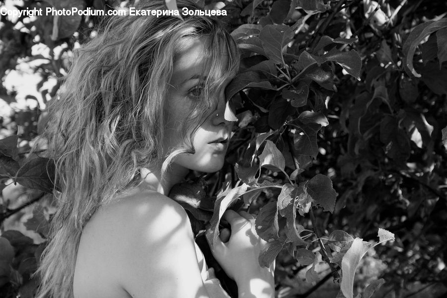 People, Person, Human, Ivy, Plant, Vine, Produce