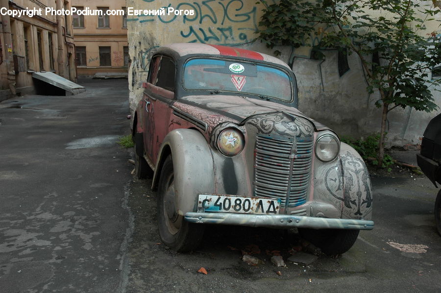 Plant, Potted Plant, Bench, Automobile, Car, Sedan, Vehicle