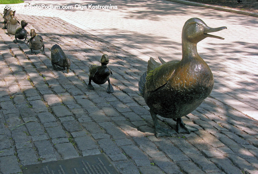 Bird, Duck, Teal, Waterfowl, Cormorant, Art, Sculpture