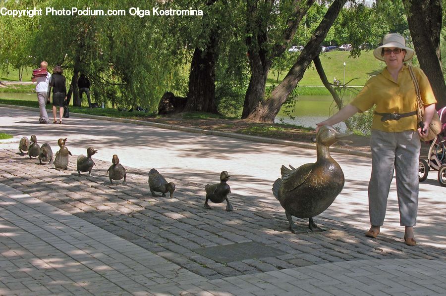 Human, People, Person, Leisure Activities, Walking, Bird, Goose
