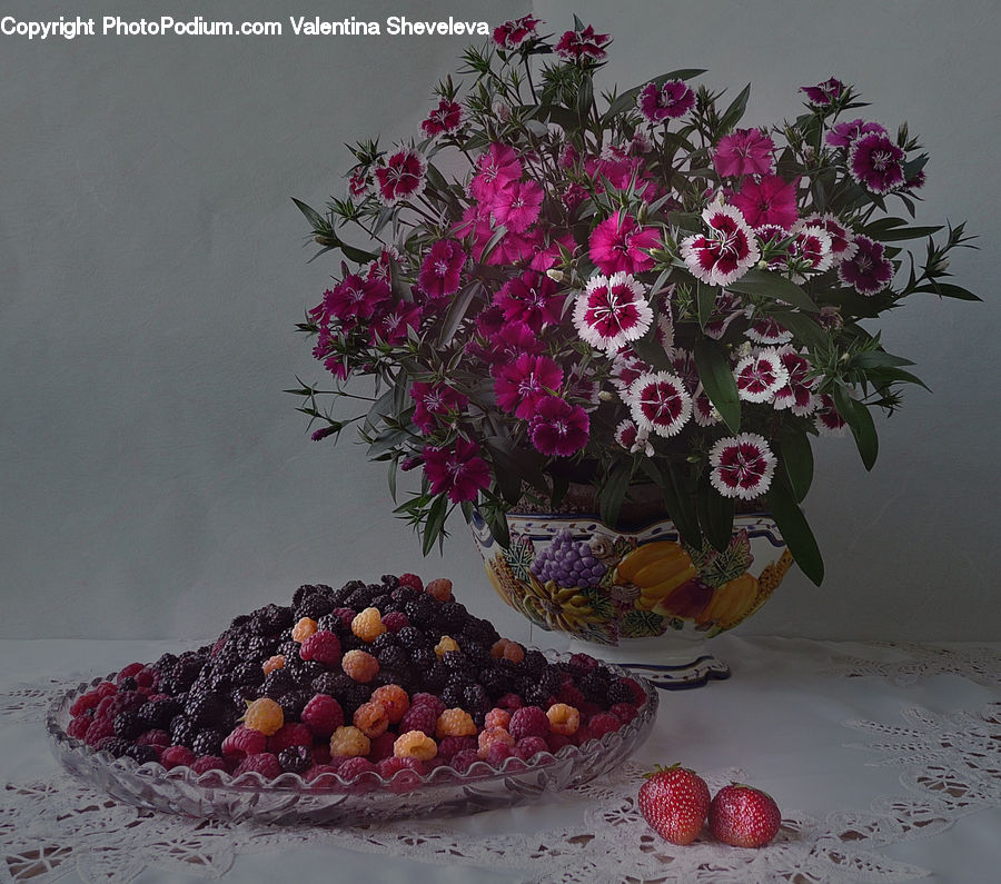 Plant, Potted Plant, Blossom, Carnation, Flower, Glass, Goblet
