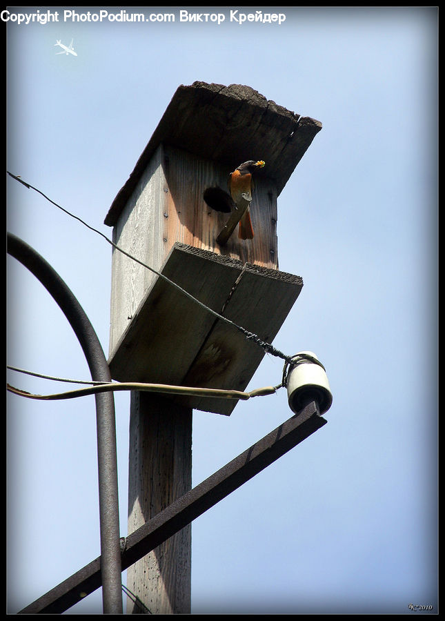 Bird, Swallow, Bird Feeder, Robin
