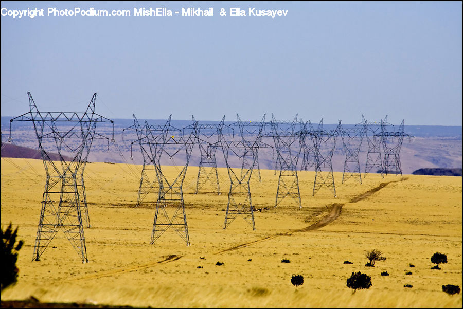 Field, Grass, Grassland, Plant, Soil