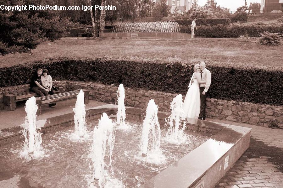 Park Bench, Bride, Gown, Person, Wedding, Pool, Water