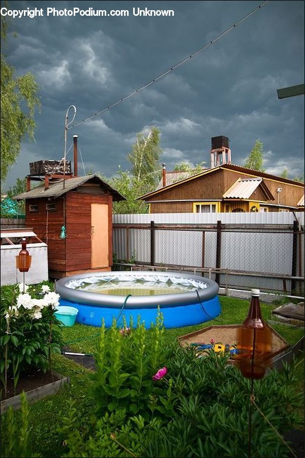 Plant, Potted Plant, Jacuzzi, Tub, Barrel, Rain Barrel, Building