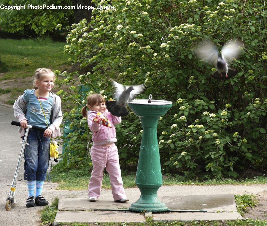 Human, People, Person, Lamp Post, Pole, Leisure Activities, Walking