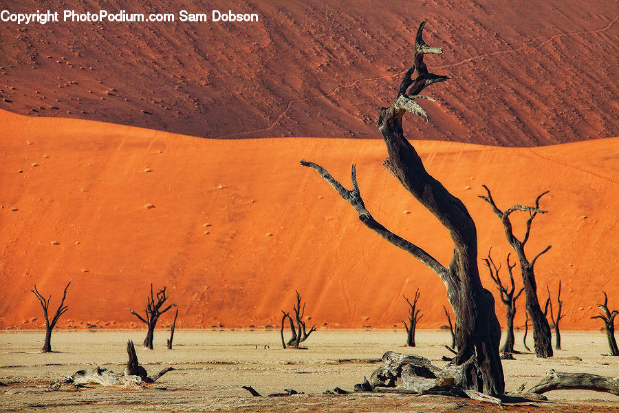 Desert, Outdoors, Leisure Activities, Dune, Soil