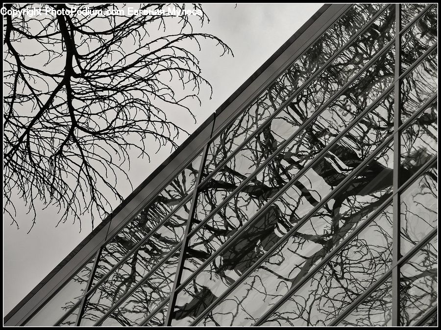 Bridge, City, Downtown, Urban